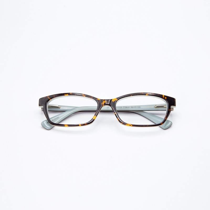 RECTANGLE EYEGLASES 3053